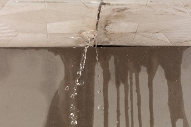 Professional Structural Drying technician working in Julian, NC